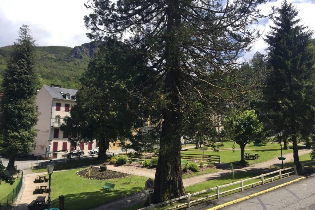 Cocon De La Vallee D'Ossau , Veritable Havre De Paix - 4 A 6 Pers Eaux-Bonnes Exterior photo